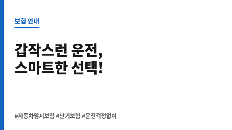 자동차임시보험 보조 이미지 자동차임시보험 보조 이미지