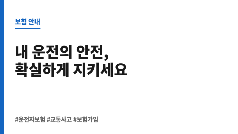 운전자보험조회 보조 이미지 운전자보험조회 보조 이미지