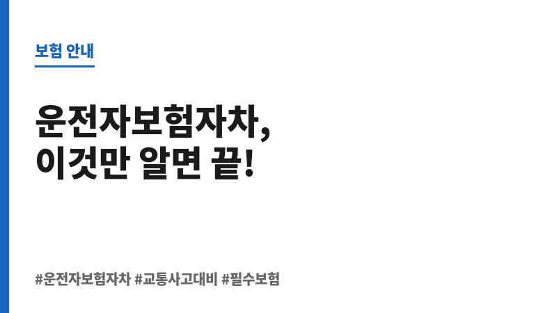 운전자보험자차 보조 이미지