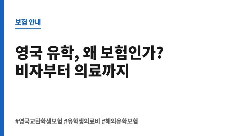 영국교환학생보험 보조 이미지