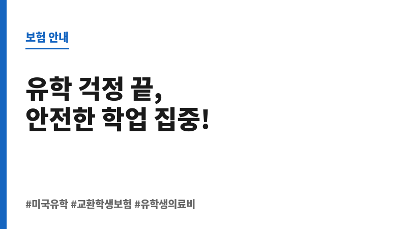 미국교환학생보험 보조 이미지