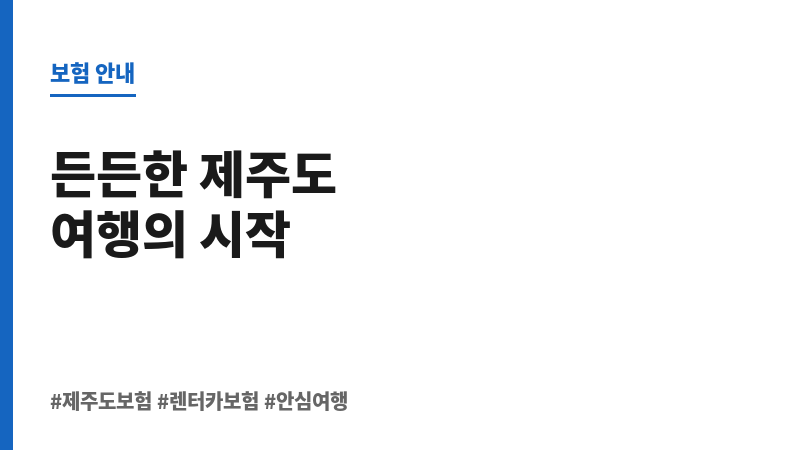 제주도보험 보조 이미지