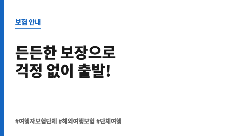 여행자보험단체 보조 이미지