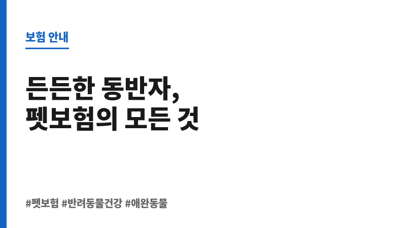 애완동물 보조 이미지 애완동물 보조 이미지