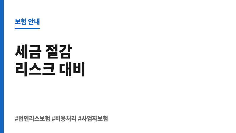 법인리스보험 보조 이미지