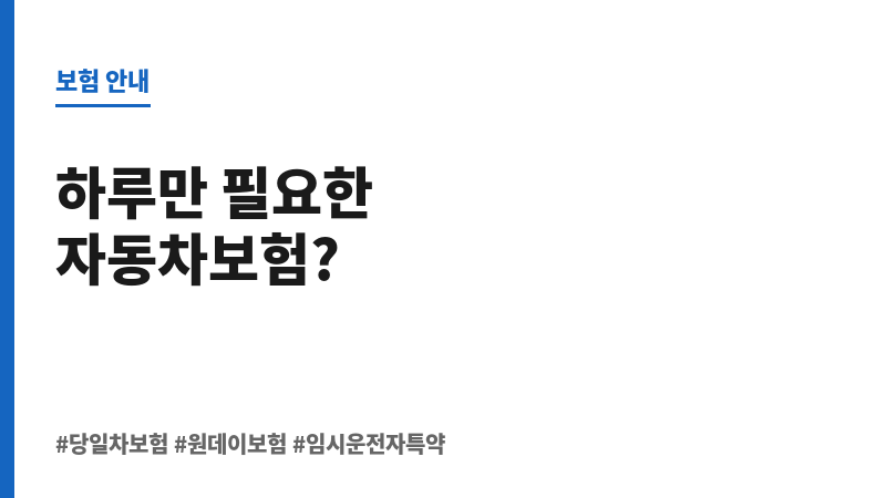 당일차보험 보조 이미지 당일차보험 보조 이미지
