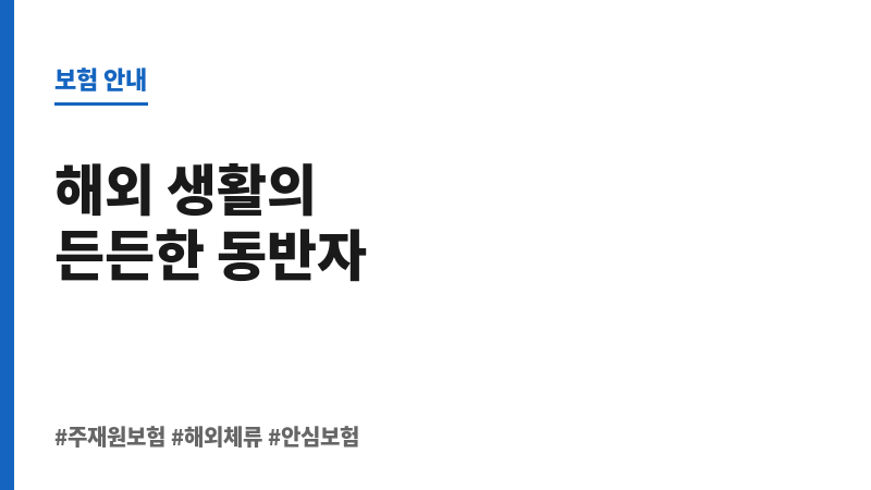 주재원보험 보조 이미지