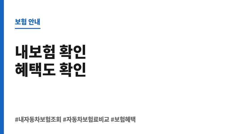 내자동차보험조회 보조 이미지
