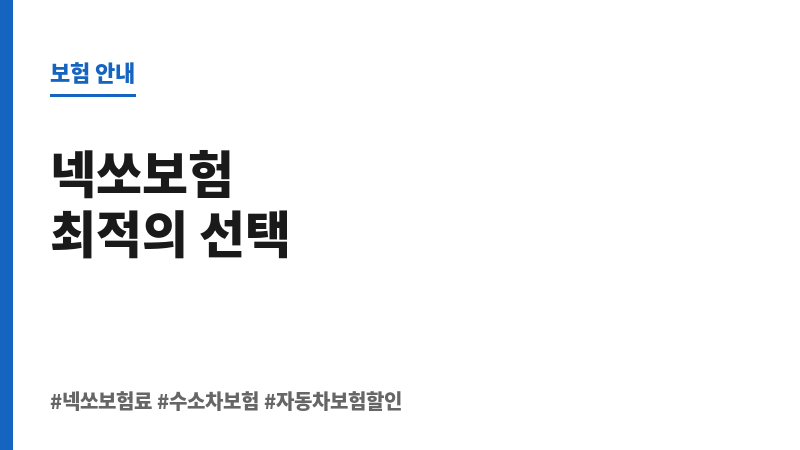 넥쏘보험료 보조 이미지 넥쏘보험료 보조 이미지