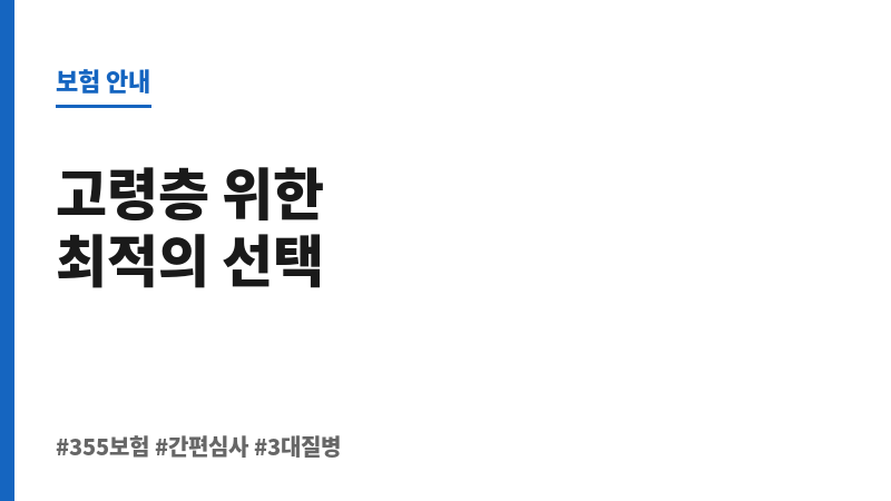 355보험 보조 이미지