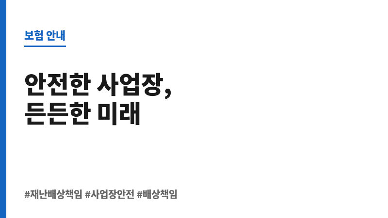재난배상책임 보조 이미지 재난배상책임 보조 이미지