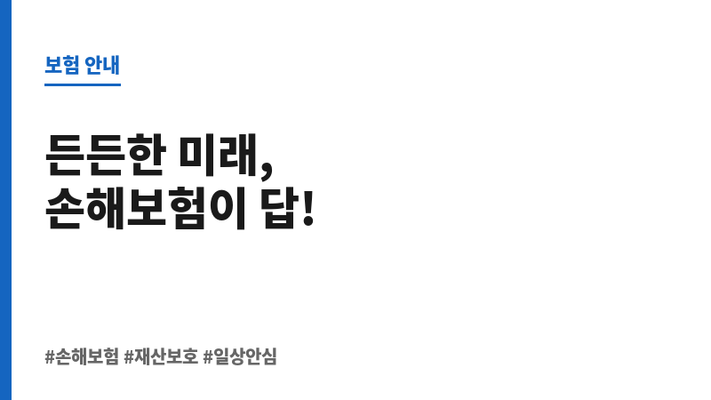 손해보험회사 보조 이미지