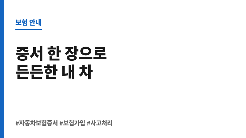 자동차보험증서 보조 이미지