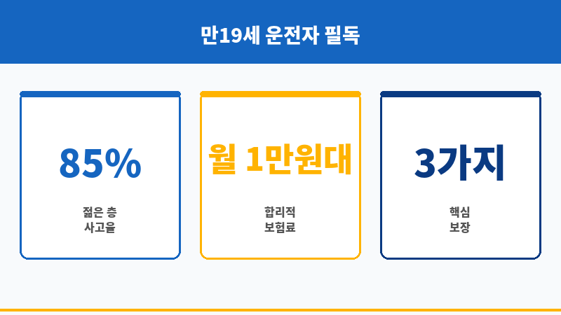 만19세운전자보험 보조 이미지