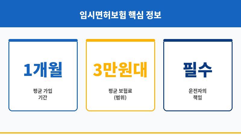 임시면허보험 보조 이미지