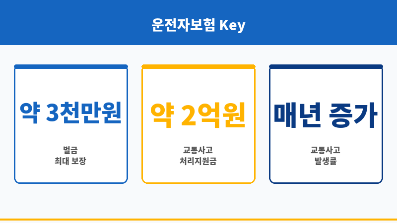 운전자보험자차 보조 이미지