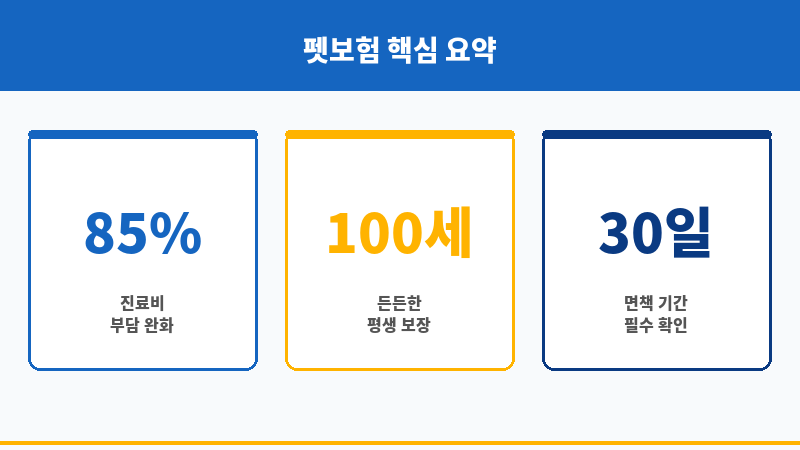 펫보험비교 보조 이미지