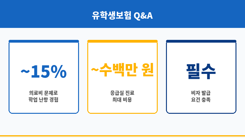 유학생보험비교 보조 이미지 유학생보험비교 보조 이미지