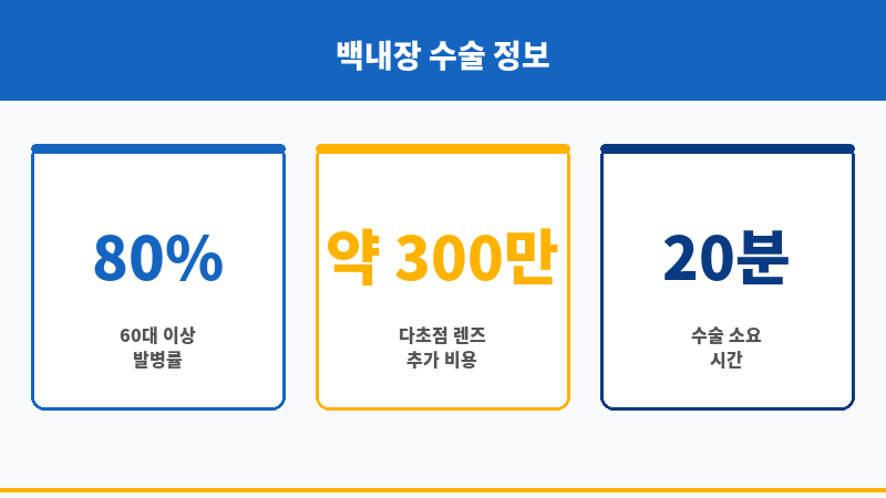 백내장수술비보험 보조 이미지