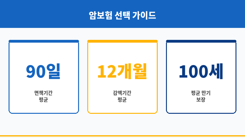 비갱신암보험추천 보조 이미지