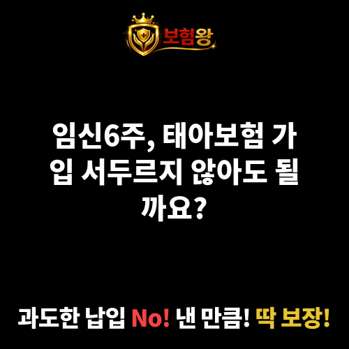 임신6주