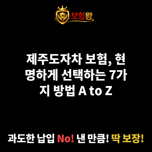 제주도자차