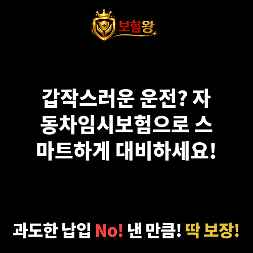 자동차임시보험