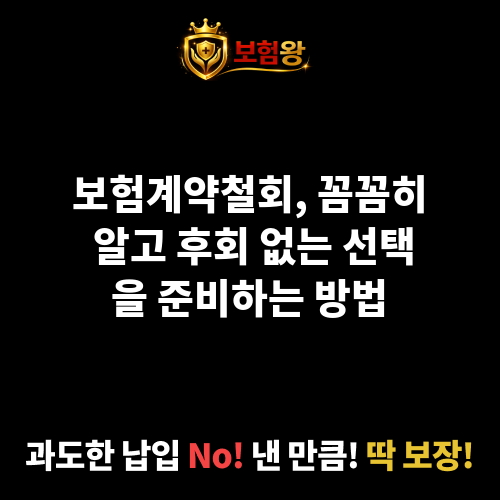 보험계약철회