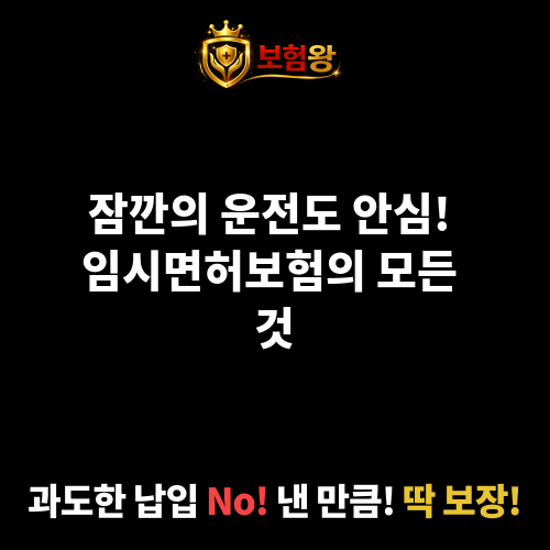 임시면허보험