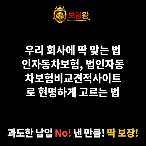 법인자동차보험비교견적사이트