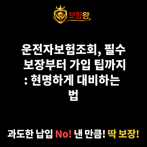 운전자보험조회