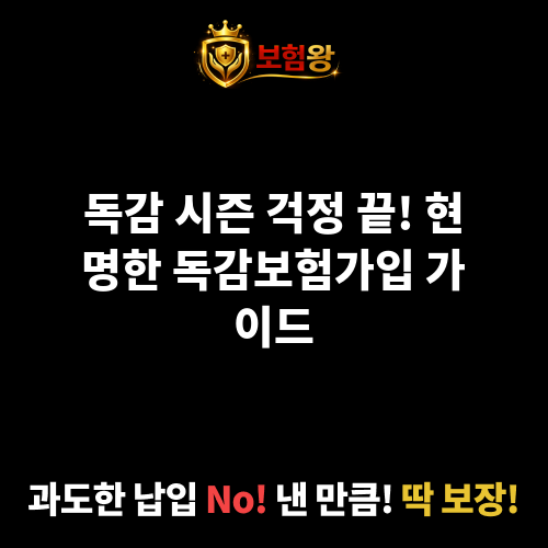 독감보험가입