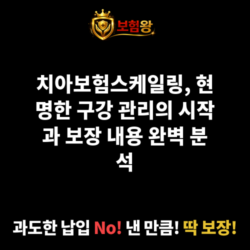 치아보험스케일링
