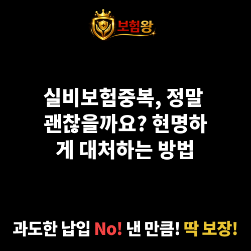 실비보험중복