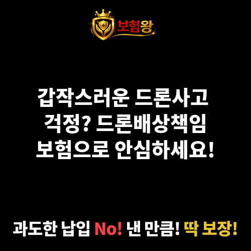 드론배상책임보험