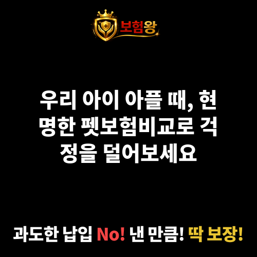 펫보험비교