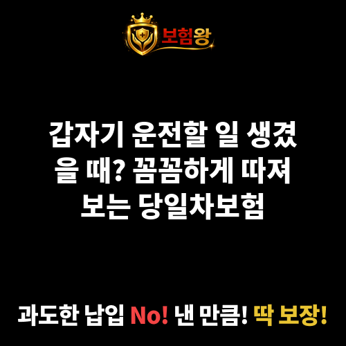 당일차보험