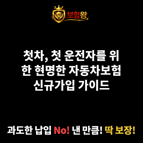 자동차보험신규가입
