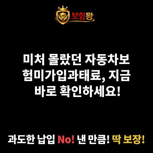 자동차보험미가입과태료