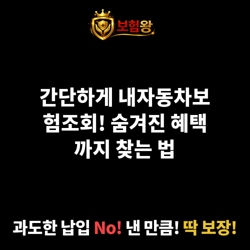 내자동차보험조회