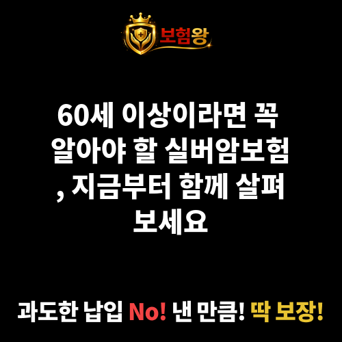 실버암보험