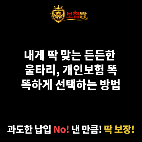 개인보험