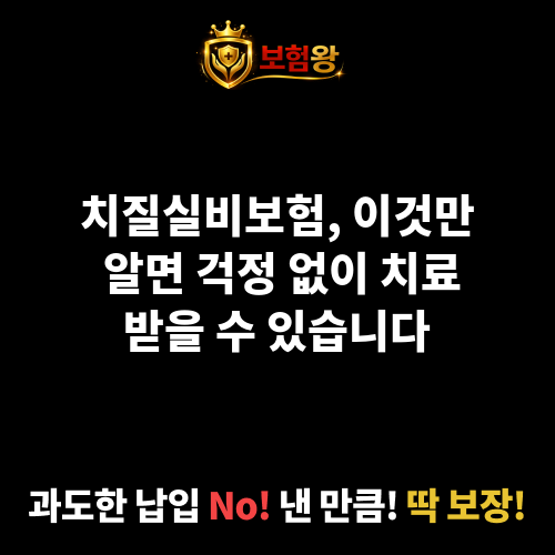 치질실비보험