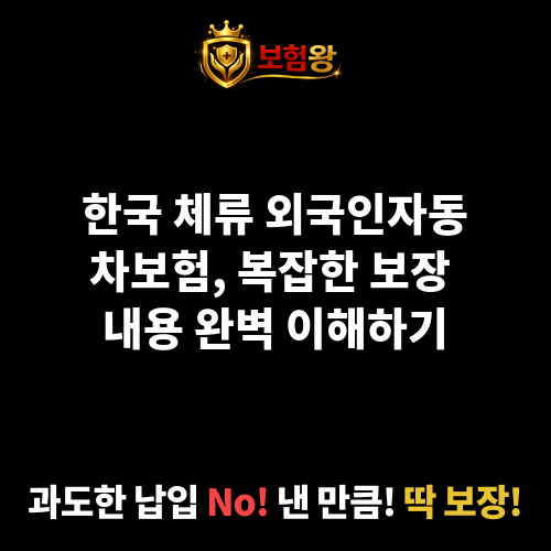 외국인자동차보험