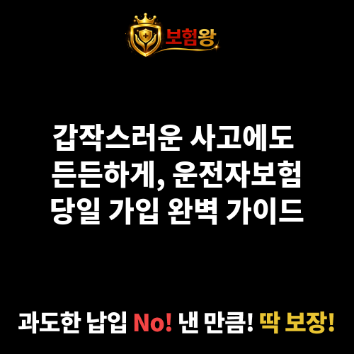 운전자보험당일