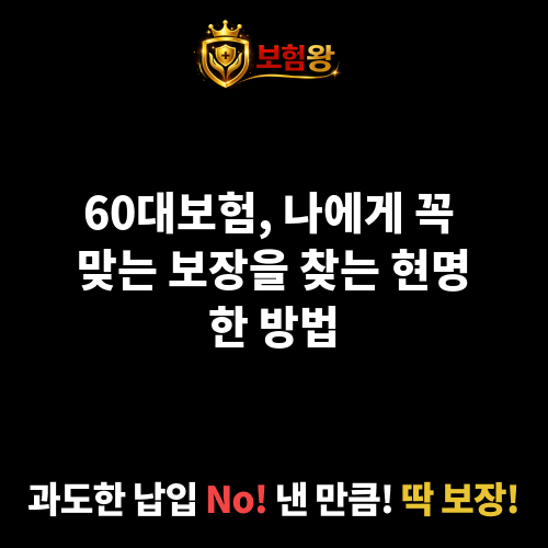 60대보험