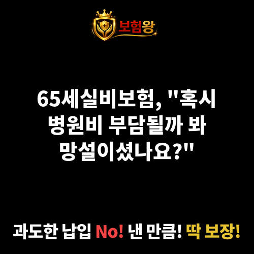 65세실비보험