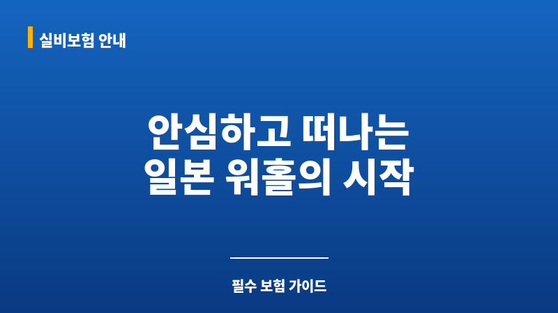 일본워홀보험 보조 이미지