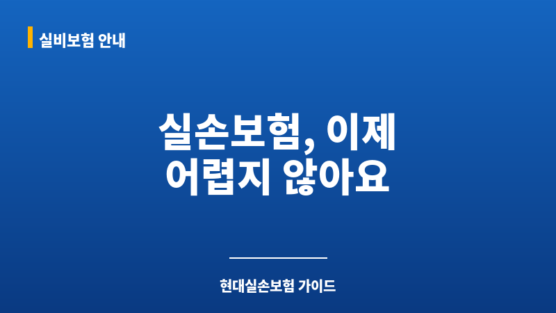 현대실손보험 보조 이미지 현대실손보험 보조 이미지
