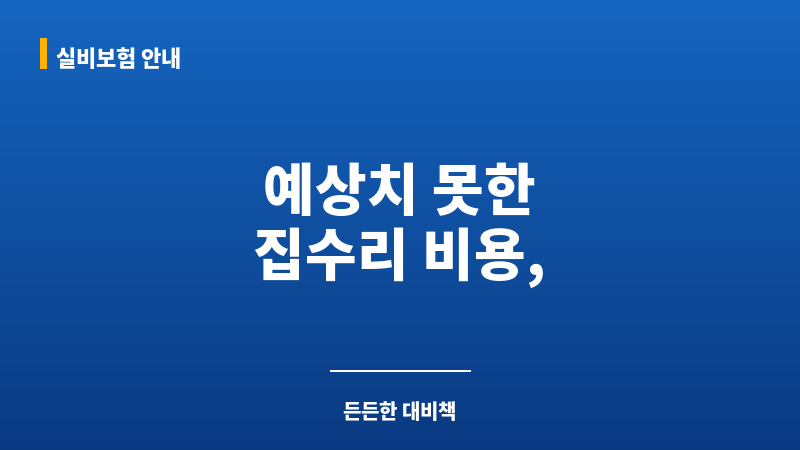 집수리보험 보조 이미지